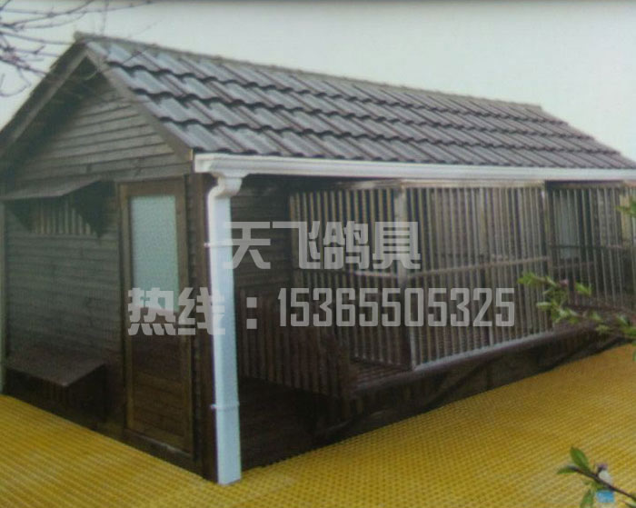 ̿��ľ����